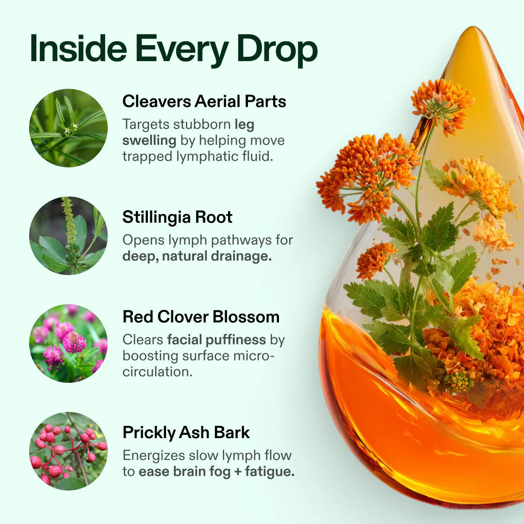 Lymphatic Flow Drops™