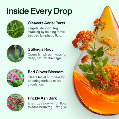 Lymphatic Flow Drops™